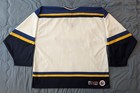 Ahl Worcester Icecats 3rd alternate Jersey - Large  st  Louis Blues 
