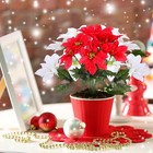 12 Pieces 7 Heads Christmas Artificial Poinsettia Flowers Faux Bush Bouquets    