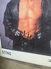 2000 Sting  Angela Signed 8x10 Original Photo Jsa Coa - Wwe Wcw Autograph Photo