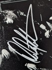Y t Yesterday   Today Signed 8x10 Photo Dave Meniketti Exact Proof Coa