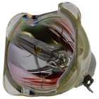 Lamp  bulb Only  For The Mitsubishi Xd8600u Bl Projector Powered By Ushio