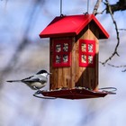 Cute Bird House Feeders For Outside  Hanging Metal Bird Feeder With 4 Ports New