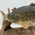 Vintage Gary Heythaler Hand-carved Wooden Crappie Fish On Driftwood Base 14   