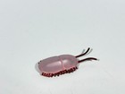 Safari Ltd Dinosaur Toy Cambrian Life Toob Pink Naroia Retired Rare Miniature