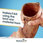 Halleluyah Original 35 -39  Kosher Half-polished Kudu Shofar   From Israel