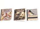 Lot Of 4 Dollhouse Miniature Readable Books About Birds Scale 1 12