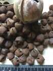 48  Primitive Rusty Rust Jingle Bells Bell 12mm 1 2  In  47  Christmas Crafts  