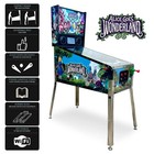 Wonderland Amusements Alice Goes To Wonderland Pinball Machine With Led Lighting