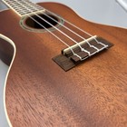 Cordoba Concert Ukelele Model 15cm With Floral Case