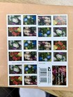 Flowers From The Garden Booklet Of 100 Forever  5240b