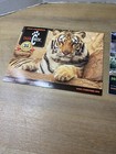 Set Of 2 Wildlife Tiger Calendars Tiger Creek 2020 Tiger Haven 2020 Ephemera