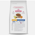 Hill s Science Diet Adult Small Bites Chicken   Barley Recipe Dry Dog Food  45lb