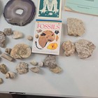 Vintage Mixed Lot Of Rock Fossils   Agate