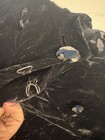 Vintage Black Velvet Cape