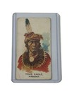 1888 N2 Allen   Ginter American Indian Chiefs True Eagle Tobacco Card