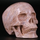 3 0  Coral Fossil Jasper Carved Crystal Skull  Realistic  Crystal Healing