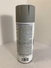 Rust-oleum Imagine Cement Finish Spray Paint 12oz Natural Texture Gray Craft
