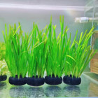 50 Assorted Aquarium Plants Live For Your Fish Tanks  7 Species Bundle  Aquatic 