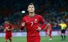 Portugal National Team 2012 Home Football Shirt Jersey Camiseta Nike 447883-638