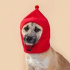 Funny Pet Transformation Hat Autumn Winter Cute Costume Hat For Dogs   Cats