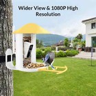 Netvue Birdfy Feeder Fhd Smart Bird Watching Feeder Camera Yellow Color