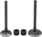 Cylinder Head Intake Exhaust Valve For Yamaha Ttr125l Ttr125e Ttr125le 2000-2018