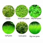 Aquarium Plant Seeds Fish Tank Aquatic Water Grass Foreground Easy Plants 5
