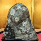 Japanese Suiseki Bonseki Viewing Stone Chrysanthemum Stone Neo Valley W base