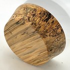 Spalted Tulip Poplar Bowl Blank  8   x3     Bulk Listing  Wood Lathe Turning Stock