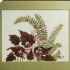 Vintage Crewel Embroidery Kit Mid Century Houseplant Begonias Ferns Marjorie Gos