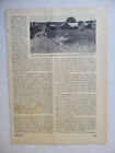 Oklahoma Profile State   People Original 1938 Survey Graphic  8 5x11 5  7pp