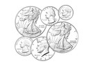 2021 Us Mint Limited Edition Silver Proof Set - American Eagle Collection