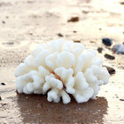 Artificial Coral Ornament Resin Underwater Plants Fish Tank Pack Of 2