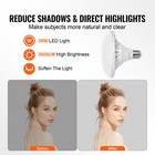 Softbox Lighting Kit 20 In X 28 In 30w 5500k Led Bulbs And Adjustable Stand
