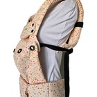 Tula Explore Carrier- Posies