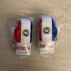 Paraguay Country Flag Mini Boxing Gloves Pair Keychains