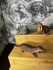 Lot Of Otter   s Sea Lions Seals Walrus Toys Figures