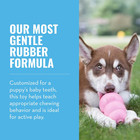 Kong - Puppy Toy Natural Teething Rubber - Fun To Chew  Chase And Fetch - For Sm