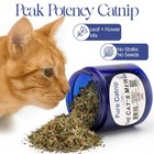 100  Pure Catnip     North American Grown     Strong Aroma For Play   Enrichment    