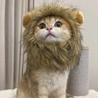 Cute Lion Mane Cat Wig Small Dog Cats Costume Lion Mane Wig Cap Hat For Cat Dogs