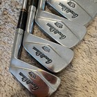 Arnold Palmer Tru-matic 2-pw Collectors Irons