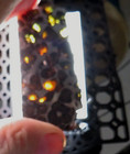 1- 45  Gm Sericho Pallasite Meteorite Slice  Kenya Translucent Olivine Std  Jal