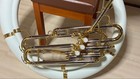 Yamaha Ysh-301 Sousaphone