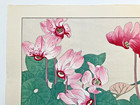Konan Tanigami Woodblock Print    cyclamen    Kyoto Unsodo