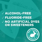 Alcohol Free Mouthwash Mint Flavor Zinc No Artificial Colors Fresh Breath 6 Pc