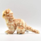 Bh6492 Hansa Cat Baby 20 Realistic Stuffed Animals Plush
