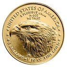 1 10 Oz American Gold Eagle Coin  5 Bu  random Year 