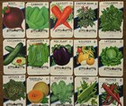 Set Of 25 Different Lone Star Seed Co  Seed Packets  Vintage  No Seeds C06 Texas