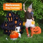 Petcare Funny Pumpkin Dog Halloween Costume M  suggest 13-25 Lbs  