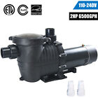 2hp 115-230v Inground Swimming Pool Pump Motor Strainer Hayward Replacement